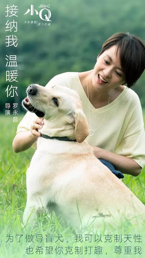 大专好还是高中毕业证号